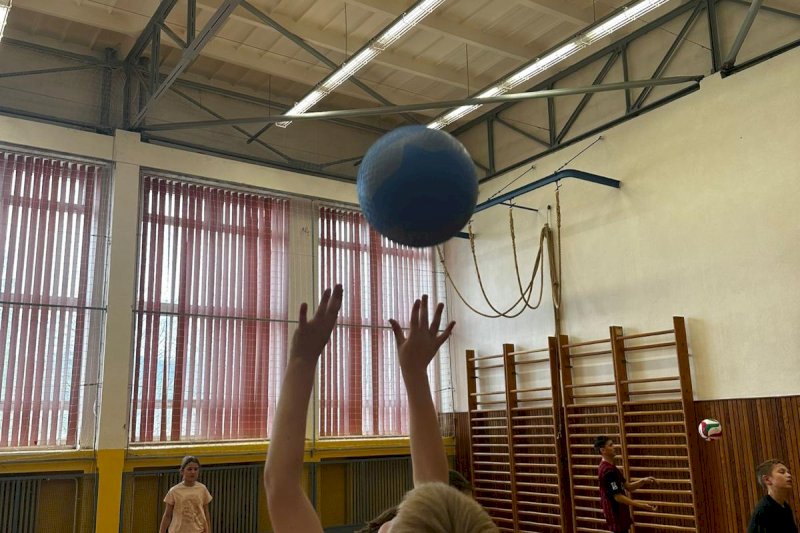 Volejbal