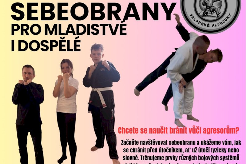 Sebeobrana 2. skupina