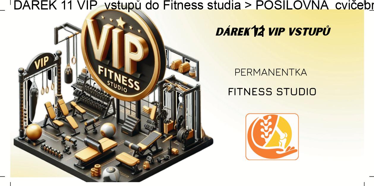 Voucher DÁREK 11 VIP  vstupů do Fitness studia > POSILOVNA  cvičebna 1 / cvičebna 2